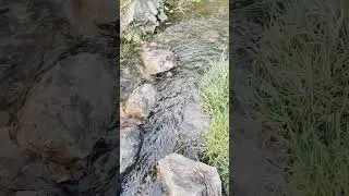 Ручей