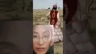 Реакция ...танцующая казашка с волками