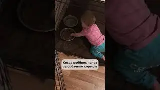 Щет 😂 #дети #собака #shorts