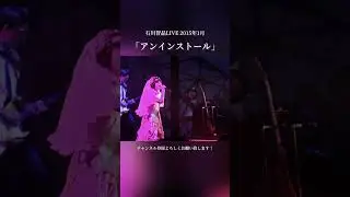 石川智晶LIVE 2015年1月　#石川智晶 #shorts