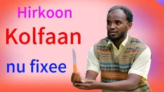 HIR-KOO | kolfan nu fixee bakka baddee argamee |@Hir-kooOfficialTube |#comedy |@etvafaanoromoo