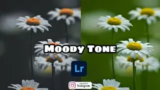 LIGHTROOM MOODY TONE | LIGHTROOM PRESET | EXPORT SETTING | WATERMARK SETTING | @themoodytone