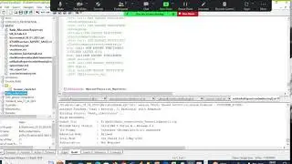 Adjusting the Tally development code based on the client requirements