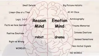 Brain Introduction