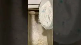 Куда добавить стиральный порошок?! 