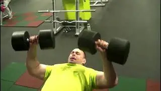 тренировки
