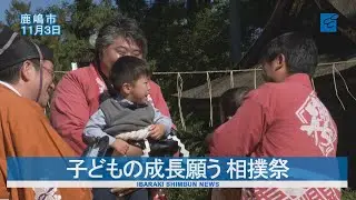 子どもの成長願う　鹿島神宮奉納相撲祭