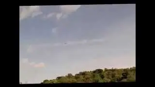 Chasing Dragonflies