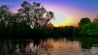 NATURE, ALWAYS NATURE!