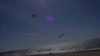 Miramar