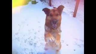 Команда "Зайка"