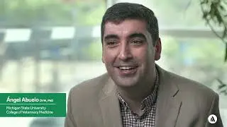 Why Veterinary Medicine? With Ángel Abuelo, DVM | Merck Vet Manual