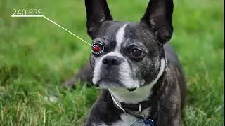 Study - Pluralsight After Effects Tracking 1