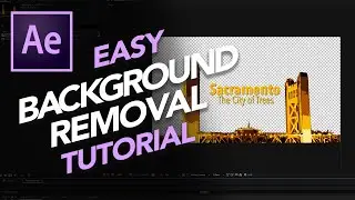 How To Export Transparent Background in Adobe After Effects CC