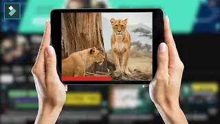 How to Make a Video Progress Bar in Filmora 13