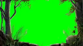 Green Screen : Best forest green screen effect | Natural Forest Effect Video