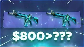 I TURNED $800 DOLLARS INTO?!?!?!?