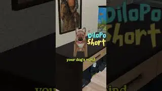 Kicking your dog out of the bathroom is a whole different story