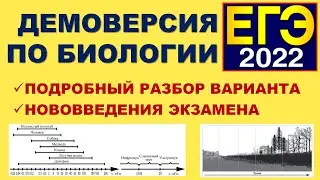 ДЕМОВЕРСИЯ ЕГЭ ПО БИОЛОГИИ 2022 | ПОДРОБНЫЙ РАЗБОР
