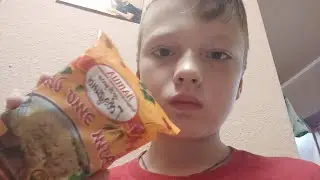 Обзор дошика