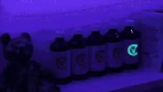 *FREE!* Ken Carson x Playboi Carti x Trippie Redd Type Beat 2021 