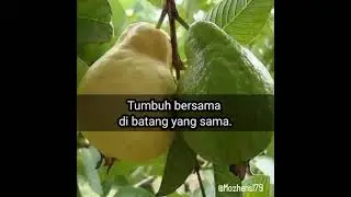 Jangan Bandingkan Prosesmu dengan Proses Orang Lain