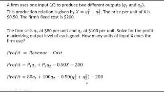 Profit Maximization: A firm uses one input to produce two output goods