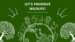 Let's Preserve Wildlife - The Cooter King Project