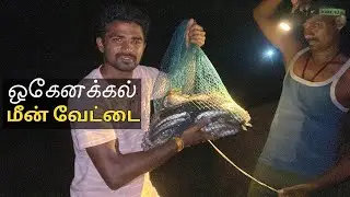 GREATEST NIGHT FISHING | PERFECT HOTSPOT FISHING | ADVENTURE OF HOGENAKKAL #fishing #viralvlogs