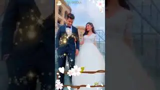 VIAH ( Main Hu Raja Oh Hu Rani ) :: Jass Manak | TikTok | WhatsApp Status