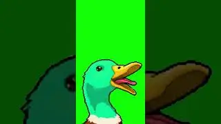 Duck Quack Meme (No Copyright Green-Screen) ♻️ GSUK 