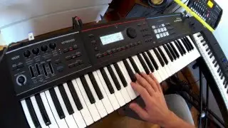 Grubenpony12 plays the ROLAND JUNO-DS