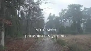Тур Ульвен. Тропинки ведут в лес