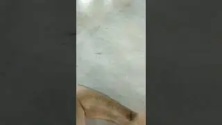 Makkah 