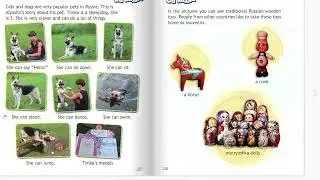 Pets in Russia. SPOTLIGHT-2. Spotlight on Russia - 3.Чтение: Питомцы в России,  стр 137 (61)