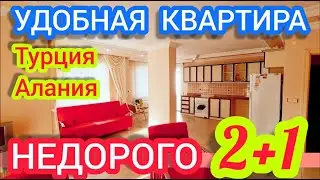 НЕДОРОГО квартира в Алании БОЛЬШАЯ недвижимость в Турции и минимальный айдат