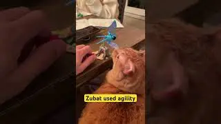 Lalo vs Zubat (Pokemon Battle of the Century)