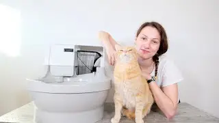 CatGenie A.I. Self-Flushing Automatic Litter Box Review (We Tried it for 3 Weeks)