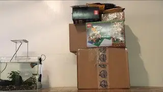 Big Lego Unboxing/Haul! || Feb 2020