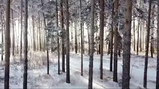 relaxing music | for study and meditation