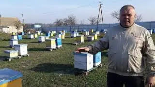Итоги по породам 2020