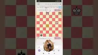 Qusarlı məşqçi  erməni qrossmeyster Manukyanı  darmadağın edib