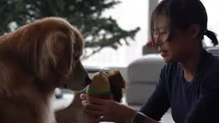 KOPI'S CHRISTMAS BARK BOX OPENING!!