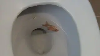 How 2 blast away shit stains (18+)
