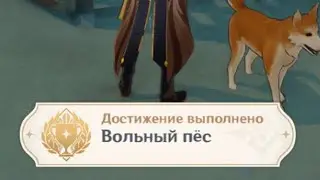 ВОЛЬНЫЙ ПЕС Достижение Геншин импакт Скрытые достижения, видео №34 Genshin Impact