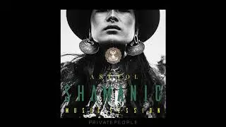 BaliDacha Shamanic DJSet 2 | Electronic | Ethno | Chillrave | Downtempo | Deep House | DJmix