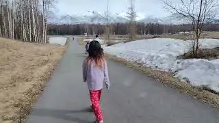 Take my German shepherd and Belgian out walking.