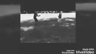 Bang Bros