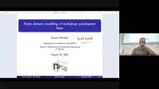 Modelling and simulation of polydisperse multiphase flows using population balance equation