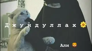 Hasheed Нашид / Jundullah (Ali ) все ищут эту нашид, слушайте и наслаждайтесь ❤️🎧😻)